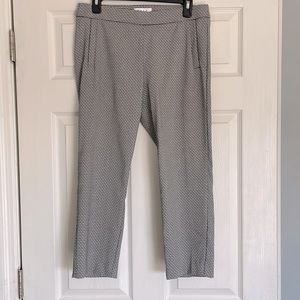 Women’s dress pants